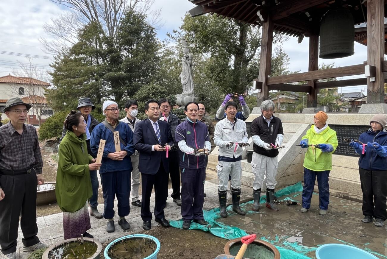 蓮の分根講習会